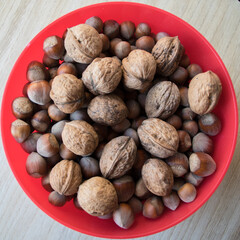 Walnuts and hazelnuts.