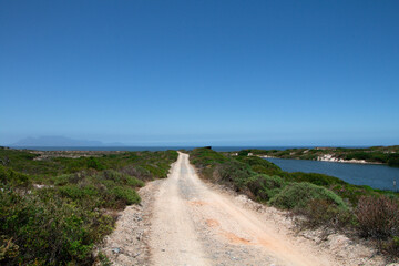 mountain bike trail with table mountain in the distance, cape town, south africa