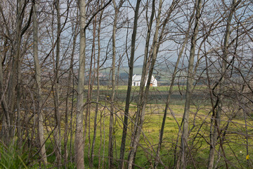 Obraz premium farm house viewed through tree line