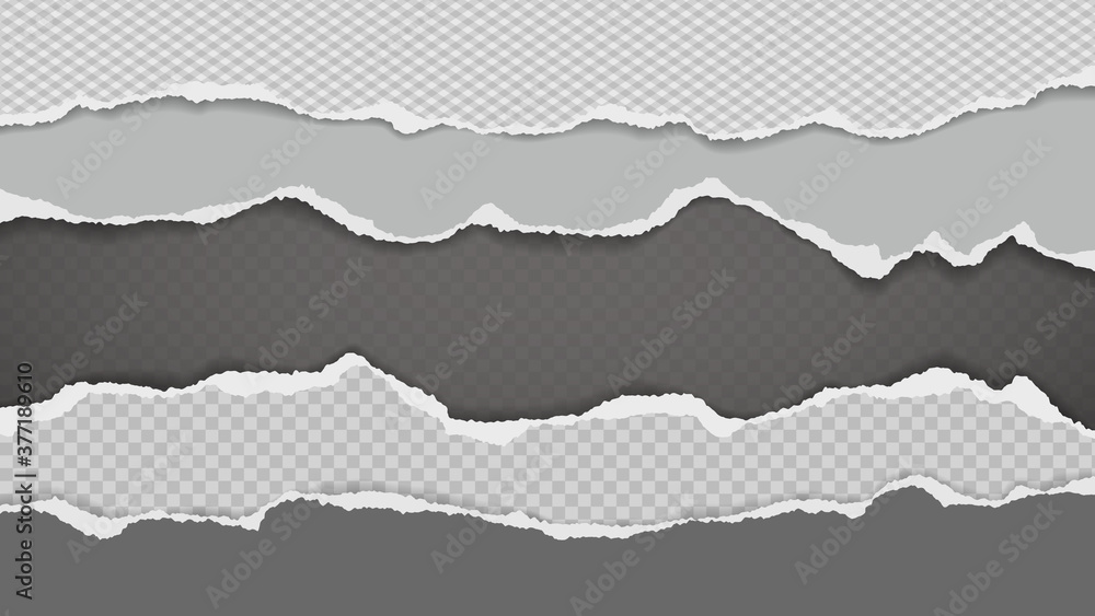 Poster pieces of torn, ripped white and grey paper with soft shadow are on squared background for text. vec