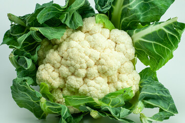 the white edible flower head of a cauliflower