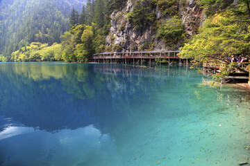 Sichuan Jiuzhaigou Rizegou Panda Sea