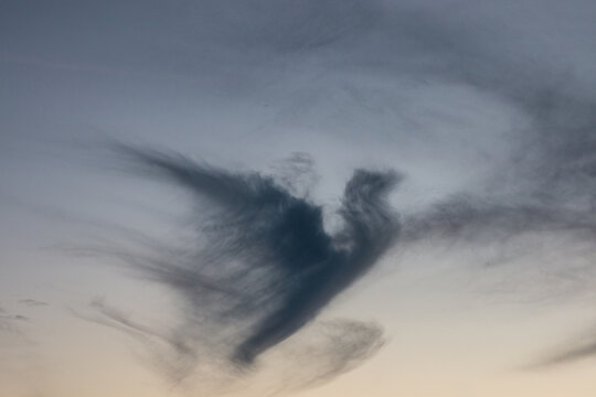 Dark cloud in shape of a pigeon in the evening sky