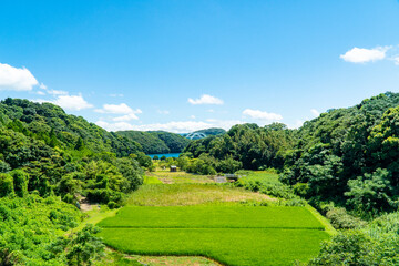 Obraz premium 長崎県佐世保市 西海橋の見える風景