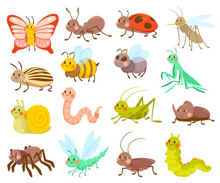 Large set of 16 assorted cute cartoon insects or bugs isolated on white for design elements, colored vector illustration