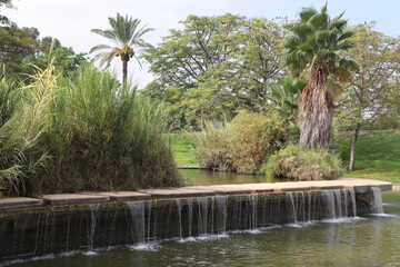 Fototapeta na wymiar a pool and waterfall flowing in the green and fresh environment of edith wolfson park located in tel aviv Israel