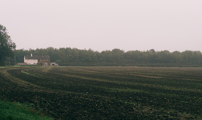 Foggy rural house