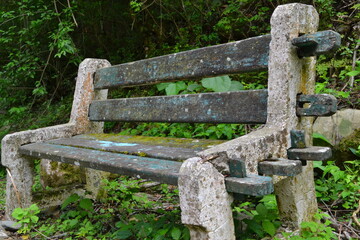 Banca entre la naturaleza