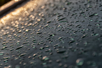 water drops on metal in the sun