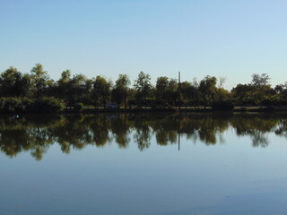 reflection of trees in water