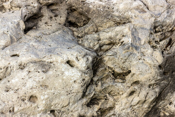 The texture of natural stone on the cut is a material for creative developments in the field of...