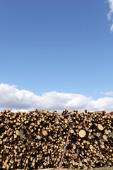 bunch of felled trees near a logging site. Piles of wooden logs under blue sky. place for text