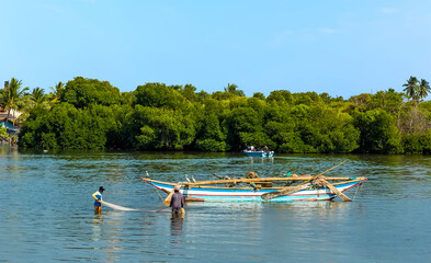Fototapeta na wymiar A view of fishermen landing their catch in the lagoon in Negombo, Sri Lanka