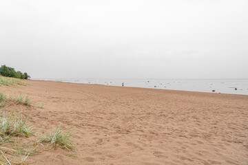 Wet sand and grass on seashore