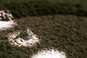 Indian Jewelry of Jumka for girls, Wedding ornament