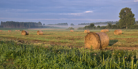 lato © MagicEarthPlanet