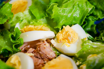 tuna salad with eggs and tomatoes