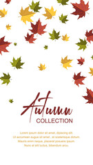 Autumn vertical design with colorful falling maple leaves. Place for text. Vector illustration