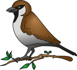 Vector illustration of a bird on a branch isolated on a white background.