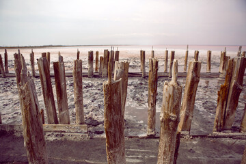 old dried up logs stand on a pink salt lake in the water