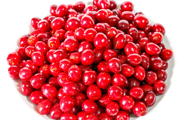 Red cherries lie in a white plate on a white background