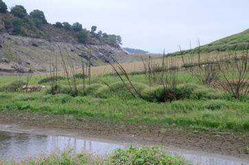 barrage hydroélectrique de Guerlédan vidé en Bretagne France