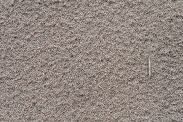 Wet gray sand on seashore texture