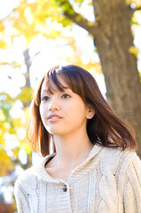 Naklejka premium イチョウ並木を歩く女性