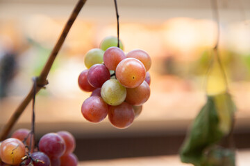 small bunch of ripe grapes