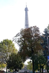 Obraz premium eiffel tower