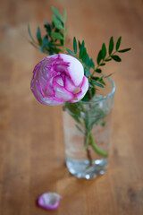 peony rose buton in a glass