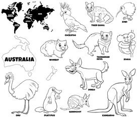 educational illustration of Australian animals color book page