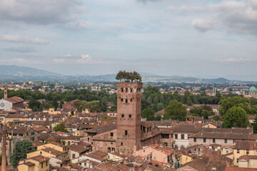 Naklejka premium Torre Guinigi a Lucca
