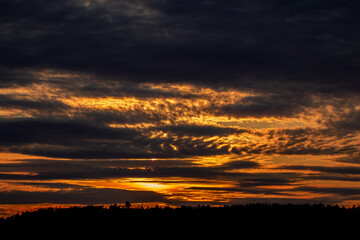 Fototapeta premium Sunset with clouds above a dark tree line. The sun is obscured by grey clouds