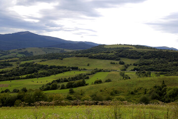 weathering of hay, haystacks in the field. idyllic country landscapes on a sunny day. beautiful rural landscape of the Carpathian mountains