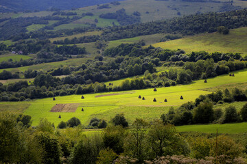 Obraz premium weathering of hay, haystacks in the field. idyllic country landscapes on a sunny day. beautiful rural landscape of the Carpathian mountains