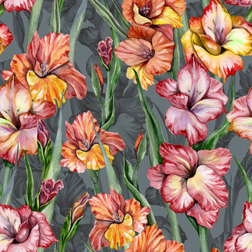 Beautiful gladiolus flowers and leaves on gray background. Seamless exotic floral pattern. Watercolor painting. Hand drawn illustration.