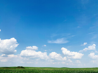 Green field and clear blue sky with white clouds 