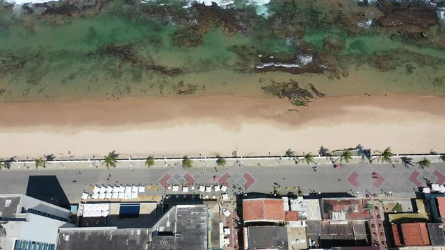 Seascape of paradisiac beach in Salvador, Bahia, Brazil. Beach scene. Beachfront view. Salvador, Bahia, Brazil. Beachfront scene. Seascape view. Seascape scene of beachfront. Paradisiac beach.