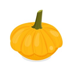 Vector illustration of thanksgiving or halloween pumpkin