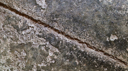 Background of gray cement surface in grunge style