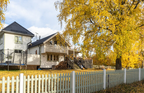 An old white wooden house in countryside surrounded by fence. Autumn background. Colorful yellow orange trees in the garden. Beautiful white colored villa or cottage. Scandinavian landscape design