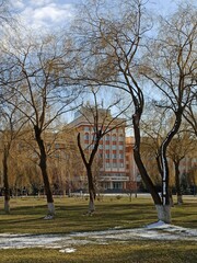 the beginning of spring in beautiful city park