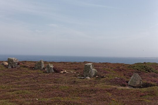 Menhir stones in a heath landscape at Ouessant island, Brittany