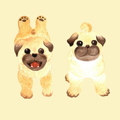 Fototapeta premium Cute pug puppy. Watercolor set