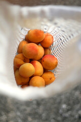 Reusable mesh bag filled with apricots. Top view, selective focus.