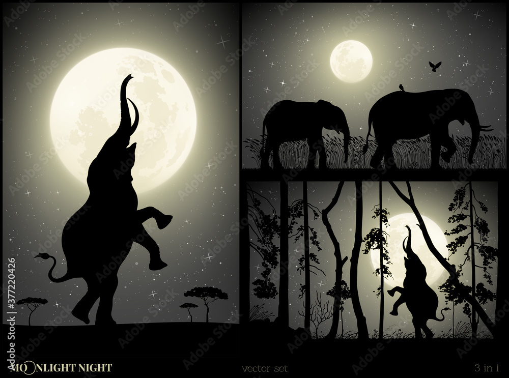 Sticker elephant silhouette. animal family. moon and stars. black white set