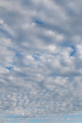 Group of cloud in the sky