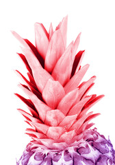 pineapple portrait, pineapple pink and purple color isolated on white background