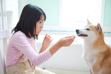 歯磨きをする女の子と柴犬